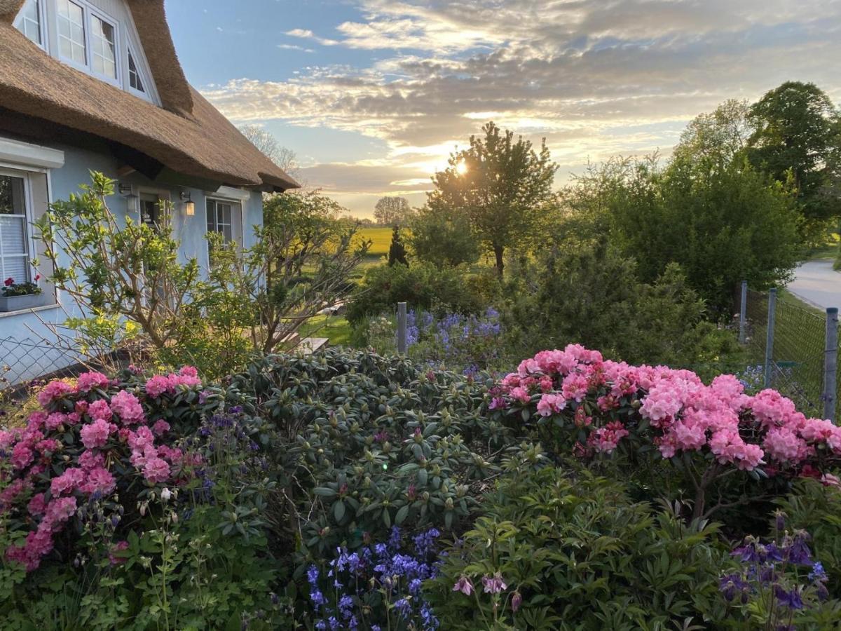 Reethaus Vilmnitz - Ferienwohnung Vilm Екстер'єр фото